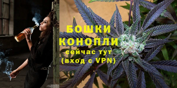метадон Ладушкин