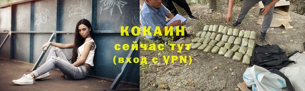 метадон Ладушкин